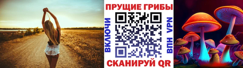 хочу наркоту  Приозерск  Галлюциногенные грибы Magic Shrooms 